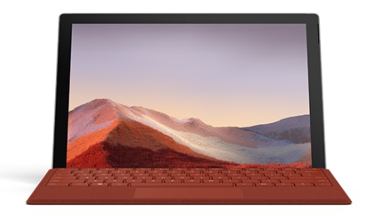 新巴尔虎左清洁和维护 Surface